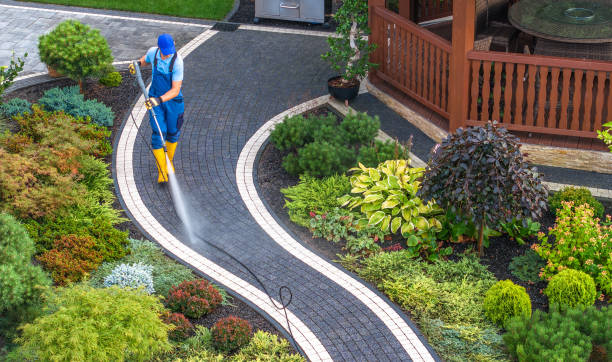Best Affordable Power Washing  in Moville, IA